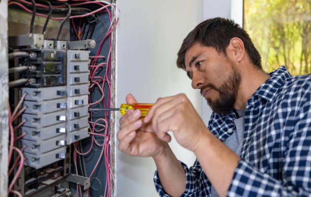 Best Electrician for Home Renovation  in Forest, OH